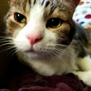 Meet your Posher, Vonda